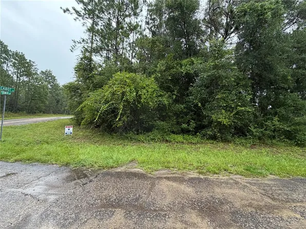 482 W CABOT LANE LOT 1, CITRUS SPRINGS, FL 34434