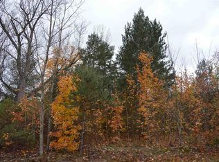 E County Line Rd #B-2B, Mancelona, MI 49659