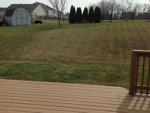 view out back door