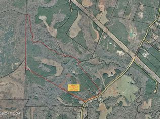 0 Blue Store Rd TRACT 2, Forsyth, GA 31029
