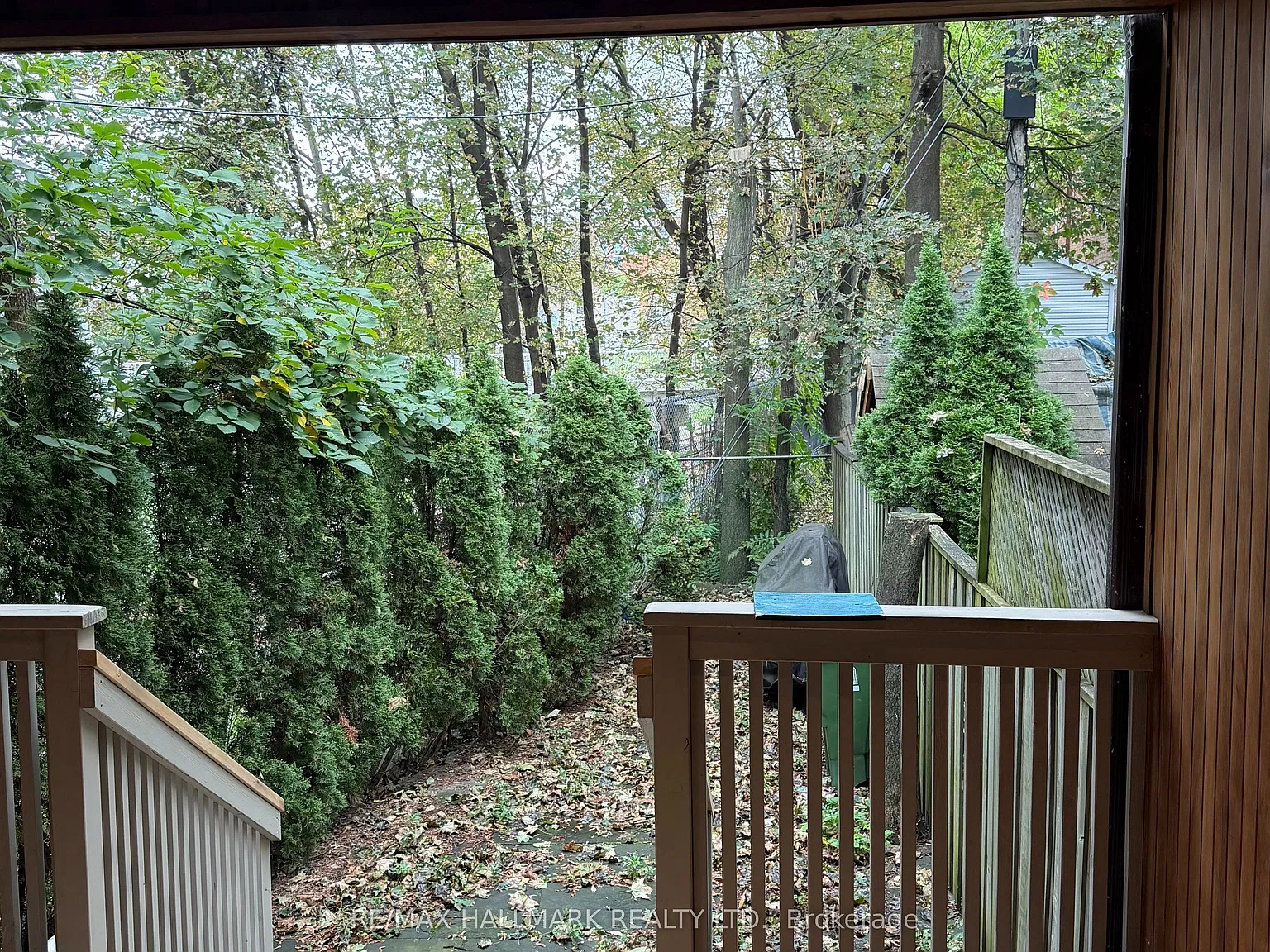 3 bed, $6,000 — Photo 3