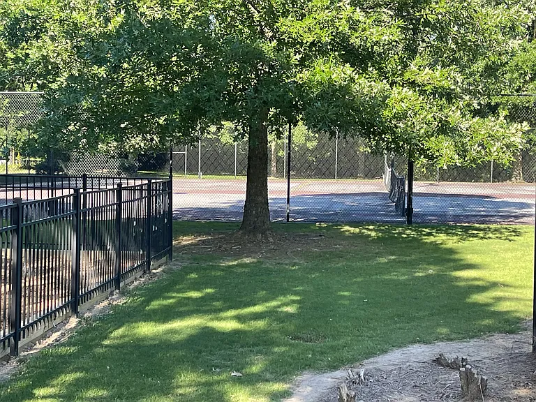 1281 Matt Moore Ct — Photo 12