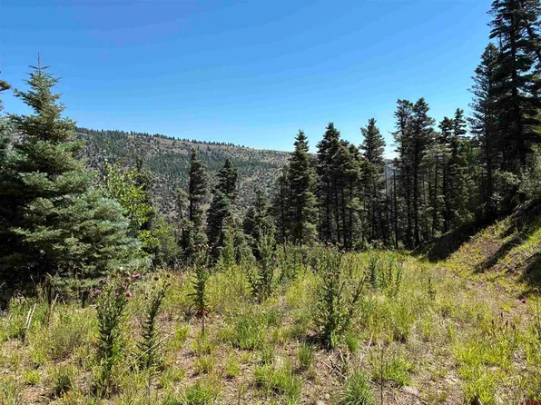 1435 Clarke Mountain Lane, Antonito, CO 81120