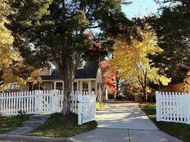 Autumn