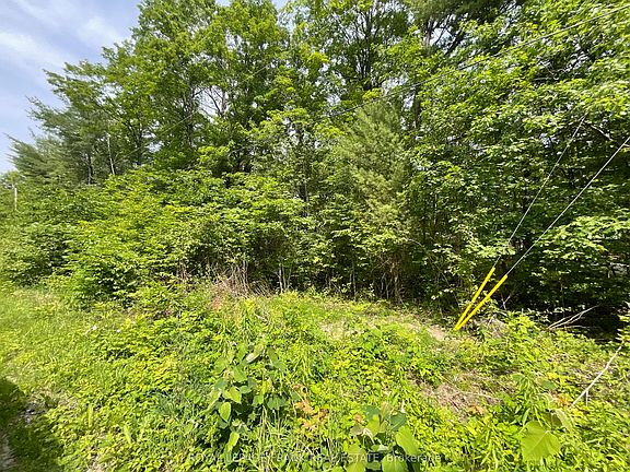 4th image of 0 Sugarbush Cres