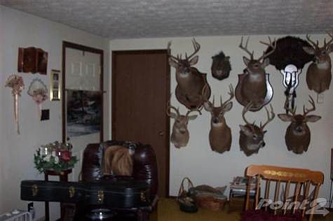 Hunting tropies from land.