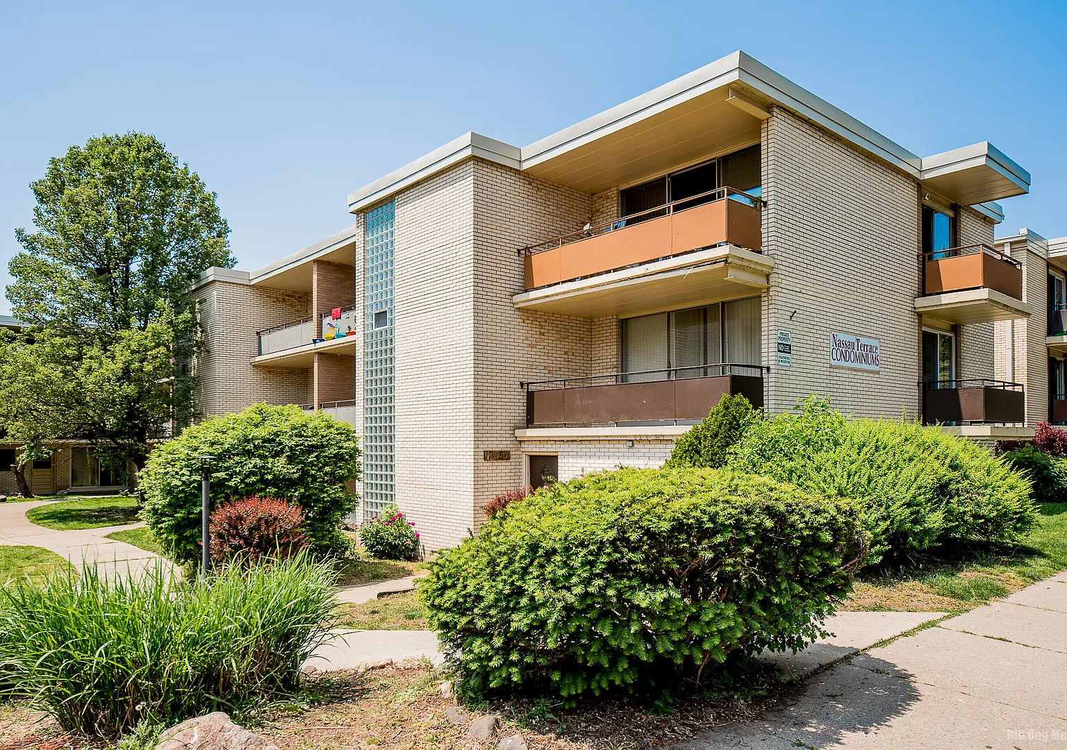 1 bed, 1000 sqft, $1,100 — Photo 1