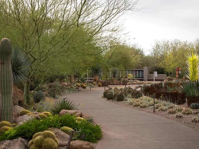 Scenic desert trails and lush botanical paths_everyday escapes near Modera Rio Salado in Tempe.