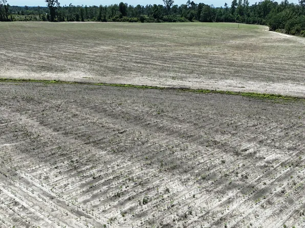 08600022T1 Red Bird Rd, Lumber City, GA 31549