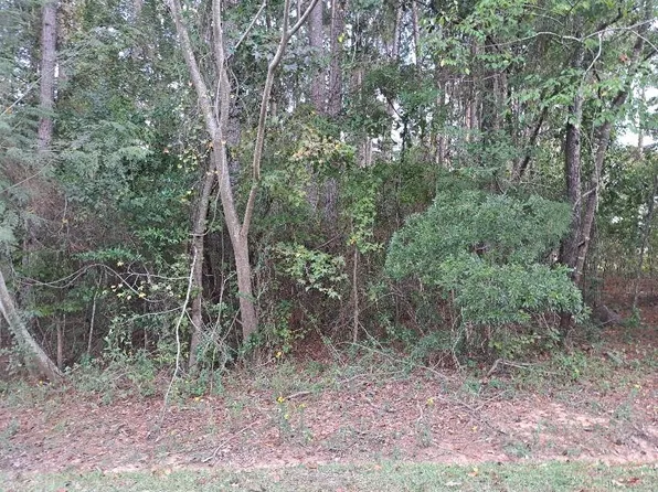 1 Plantation Dr, Santee, SC 29142