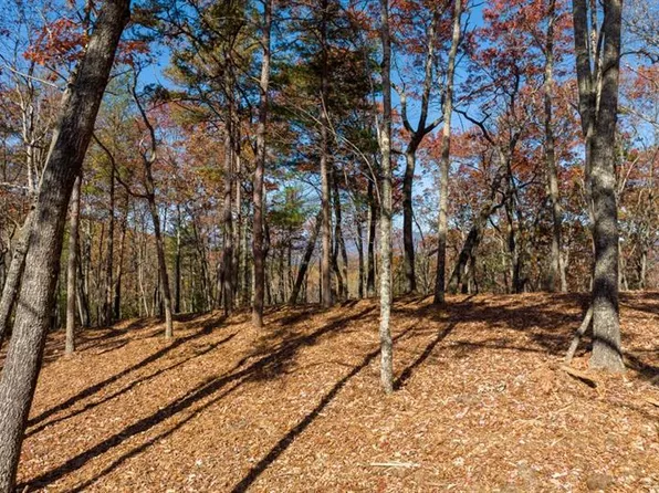40 Preserve Trl, Ellijay, GA 30536