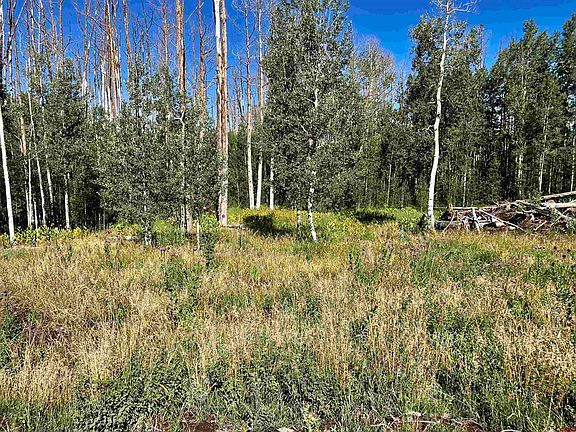 5th image of Lot 13 Groundhog Vista