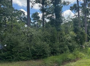 3629 Hickock Ln, Willis, TX 77378