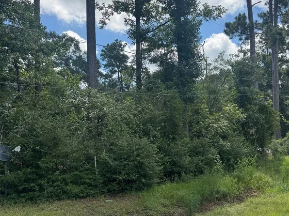 3629 Hickock Ln, Willis, TX 77378