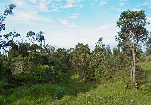2nd image of 73-2425 Kaloko Dr