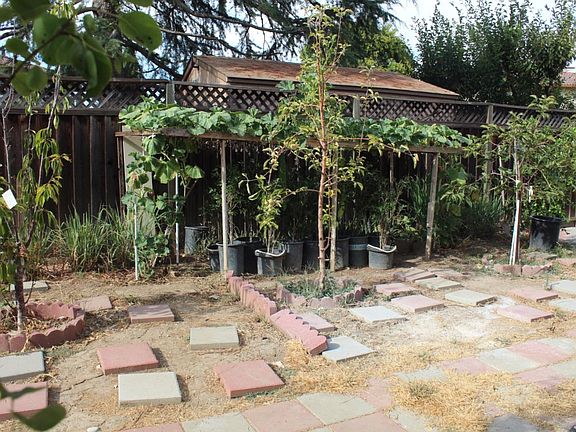 4th image of 549 Park Johnson Pl