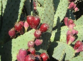 6701 N Desert Fairways Dr, Paradise Valley, AZ 85253