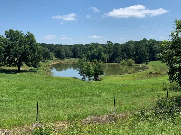 1 SW COUNTY LINE Road, Gibson, GA 30810