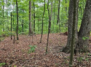 0 Deer Jump Trl LOT 347, Lake Lure, NC 28746
