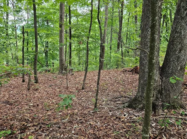 0 Deer Jump Trl Lot 347, Lake Lure, NC 28746