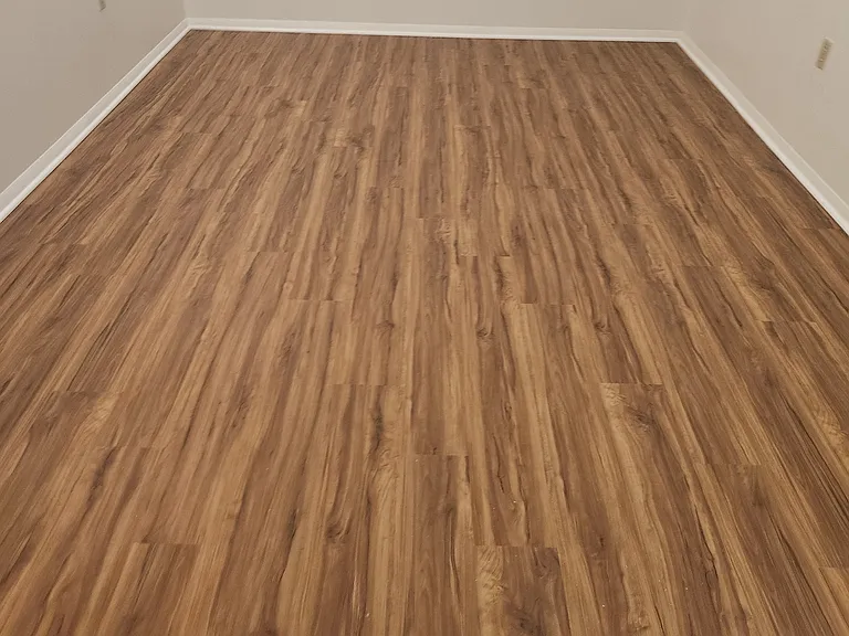 Basement / work from home office