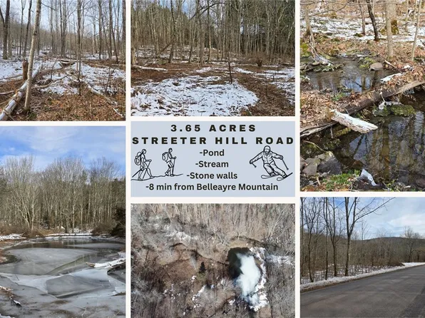 LOT 35 Streeter Hill Rd, Fleischmanns, NY 12430