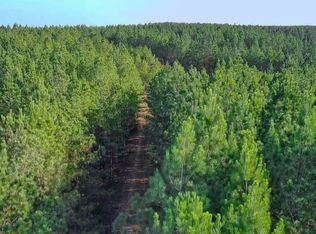 Highway 412 N TRACT 2, Hohenwald, TN 38462