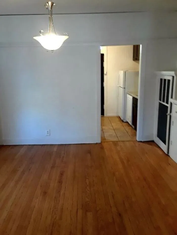 1 bed, $1,350 — Photo 1