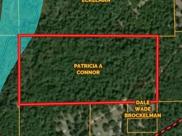 Dillion Rd, Livingston, TX 77351