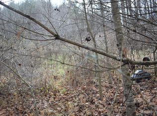 0 Bradford Rd, Burnsville, NC 28714