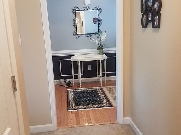 Entry & hall