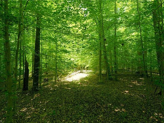 3rd image of 350 Roby Fulk Rd Lot 14