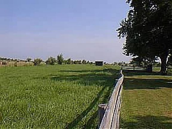 West Pasture