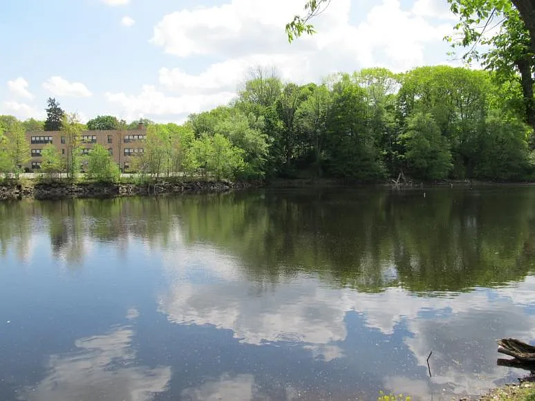 3 bed, $1,850 — Photo 2
