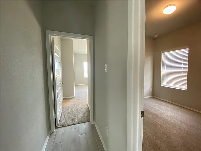 11704 Murano Dr — Photo 23