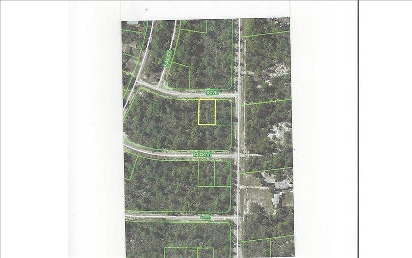 1st image of 1253 Dove Ln