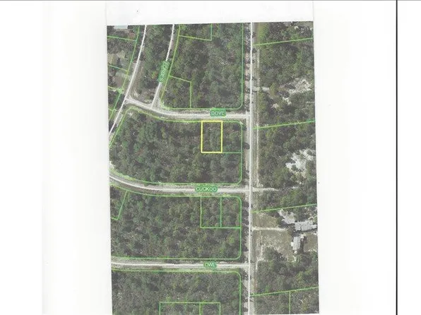 1253 Dove Ln, Lake Placid, FL 33852