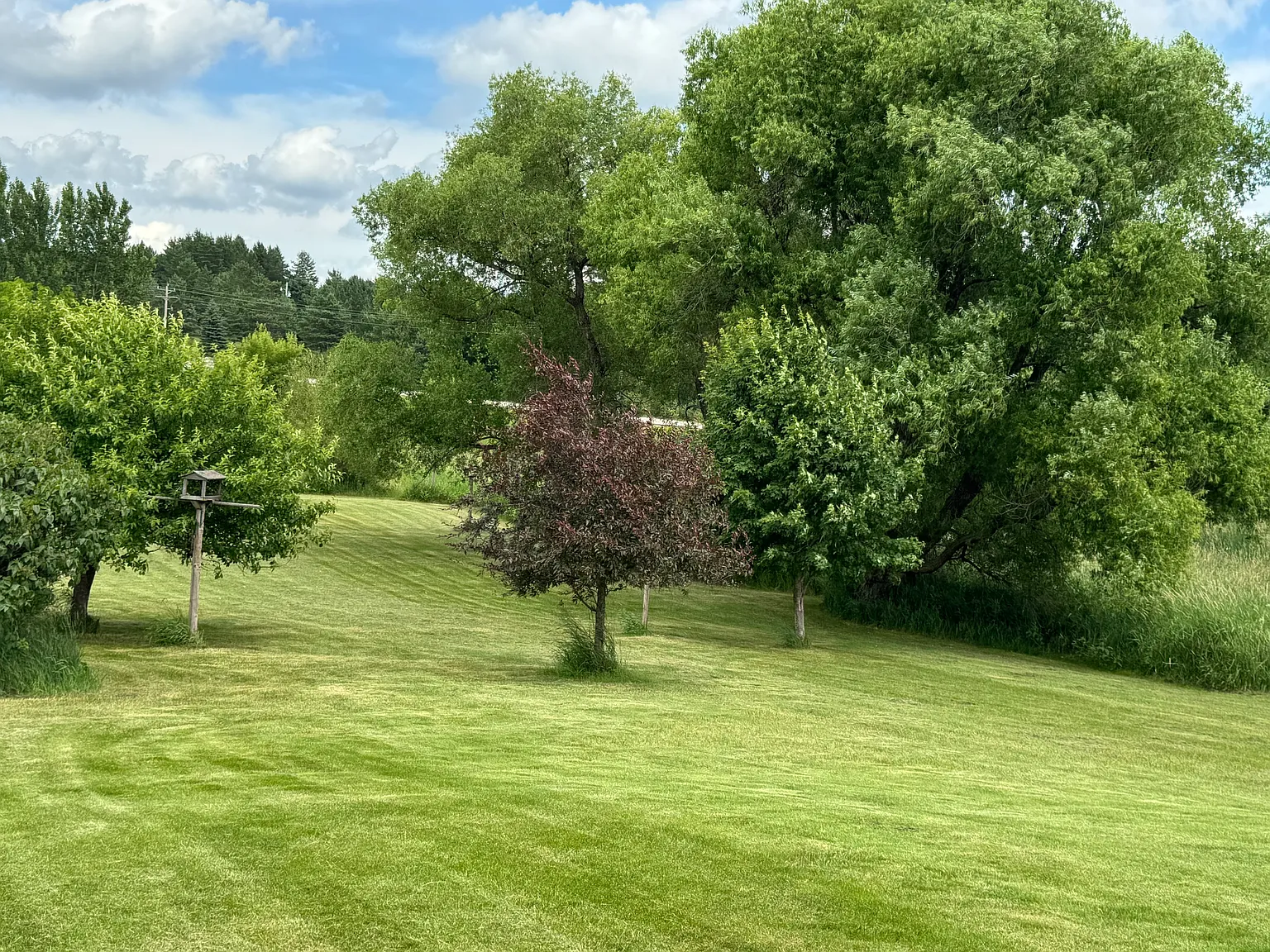 6 bed, 3584 sqft, $2,950 — Photo 4