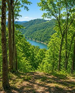 Jimmy Reneau Rd, Celina, TN, 38551