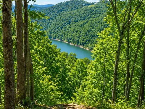 Jimmy Reneau Rd, Celina, TN 38551