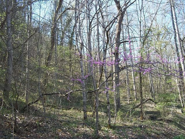 2nd image of Domar Ct