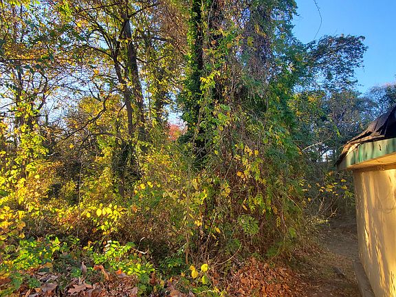 Woods and Peter Creek behind House