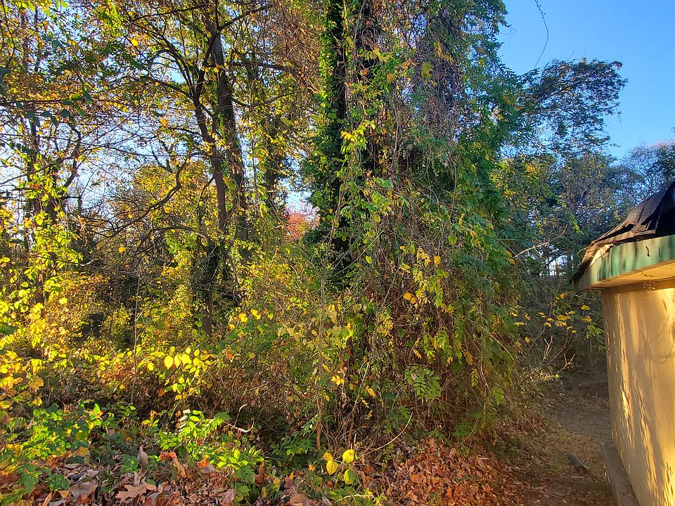 Woods and Peter Creek behind House