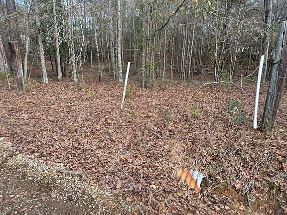 3rd image of 0 County Road 103