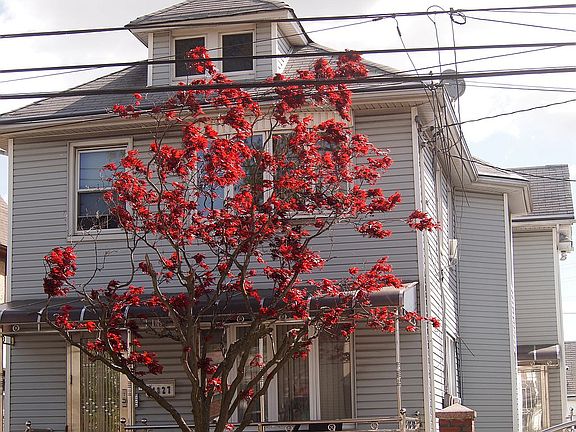 2nd image of 11827 179th St