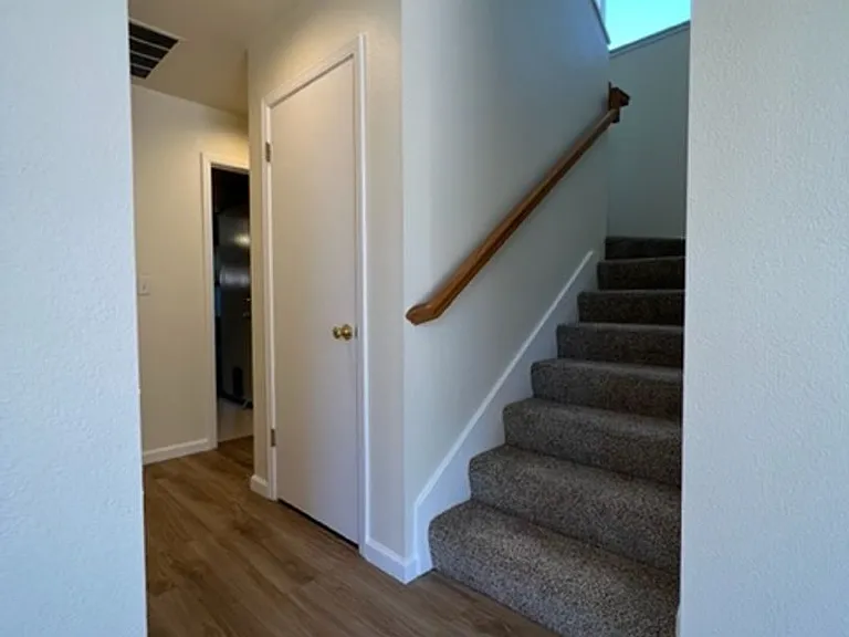 4200 Buckskin Dr — Photo 11