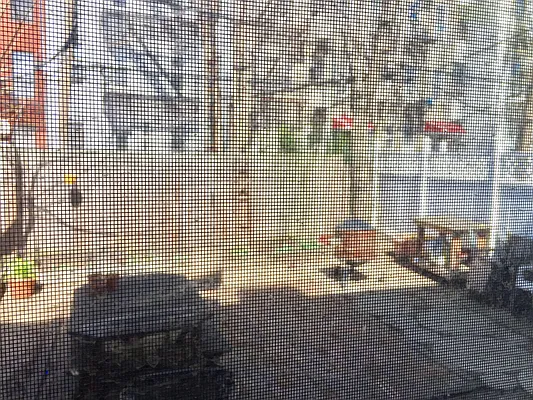 Rented by Remax Real Estate Professionals | media 12