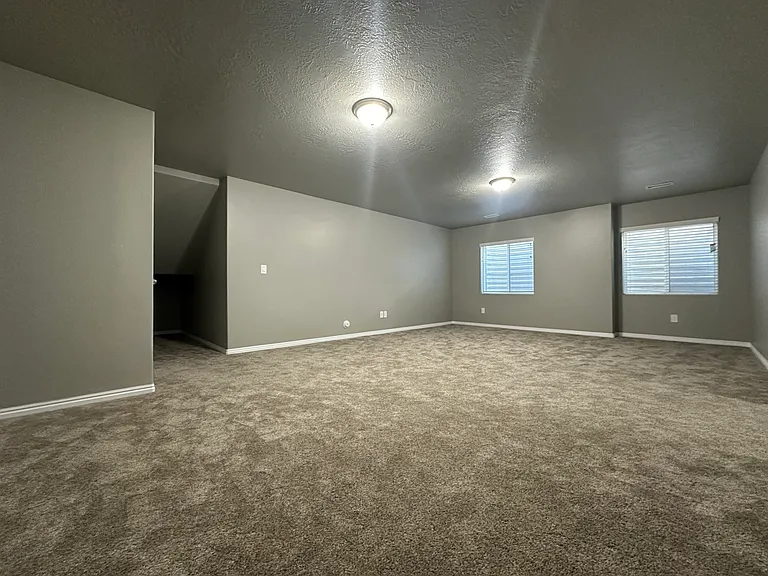 10684 S Wild Rice Dr — Photo 16