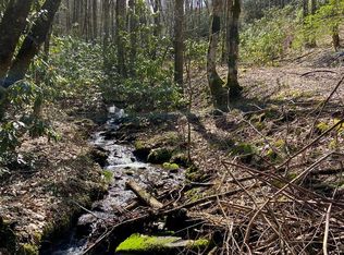 569 Camp Branch Rd, Whittier, NC 28789