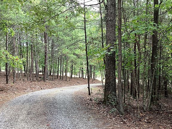 4th image of Baisto Ln Lot 24